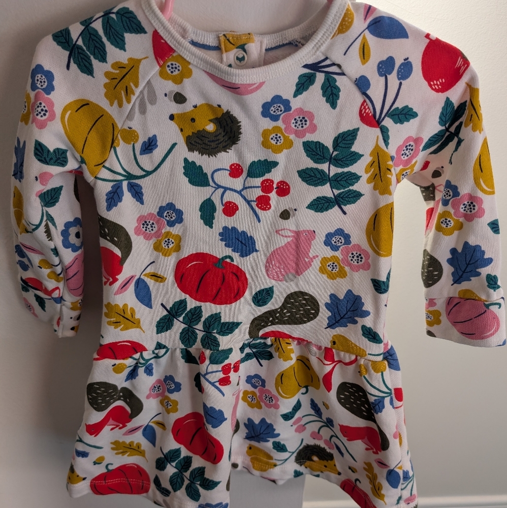 Baby Boden Dress